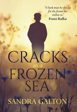 Cracks in a Frozen Sea - Sandra Galton